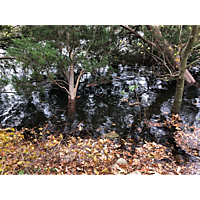 Norfolk mid November high tide and Storm event image